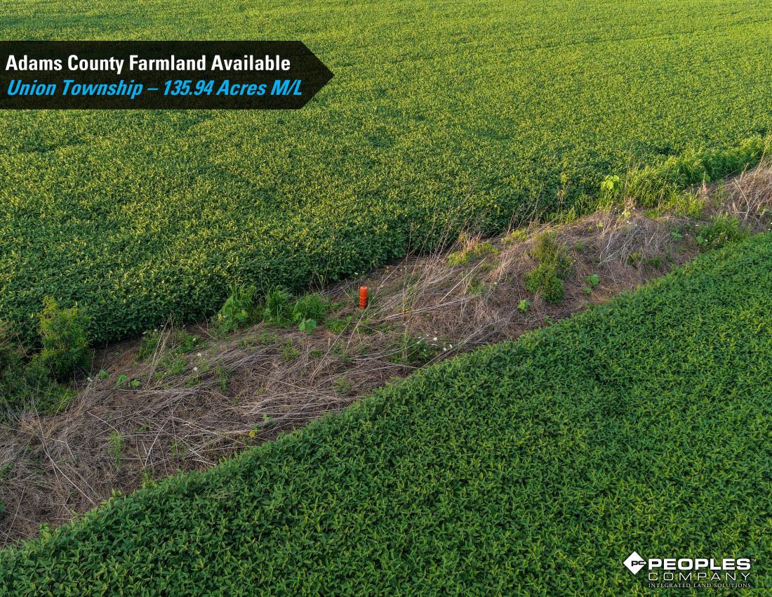 Listing Photo: Adams-County-Iowa-Farmland-Available-136-Acres-Blazek-Estate-19707 (24)